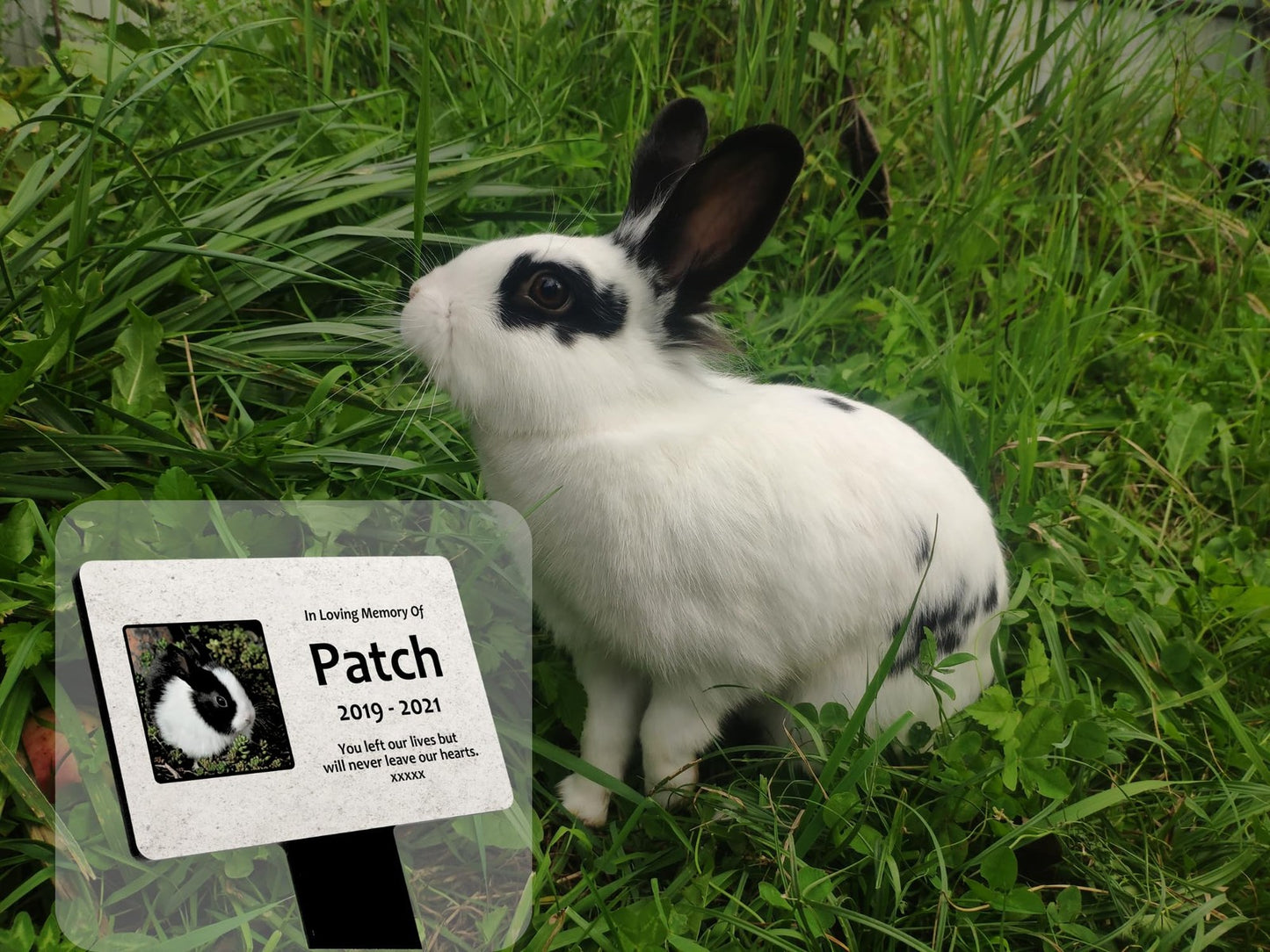 Personalised Pet Memorial Plaque – Grave or Garden Marker with Photo & Text – by North By North East – Plaques & Nameplates