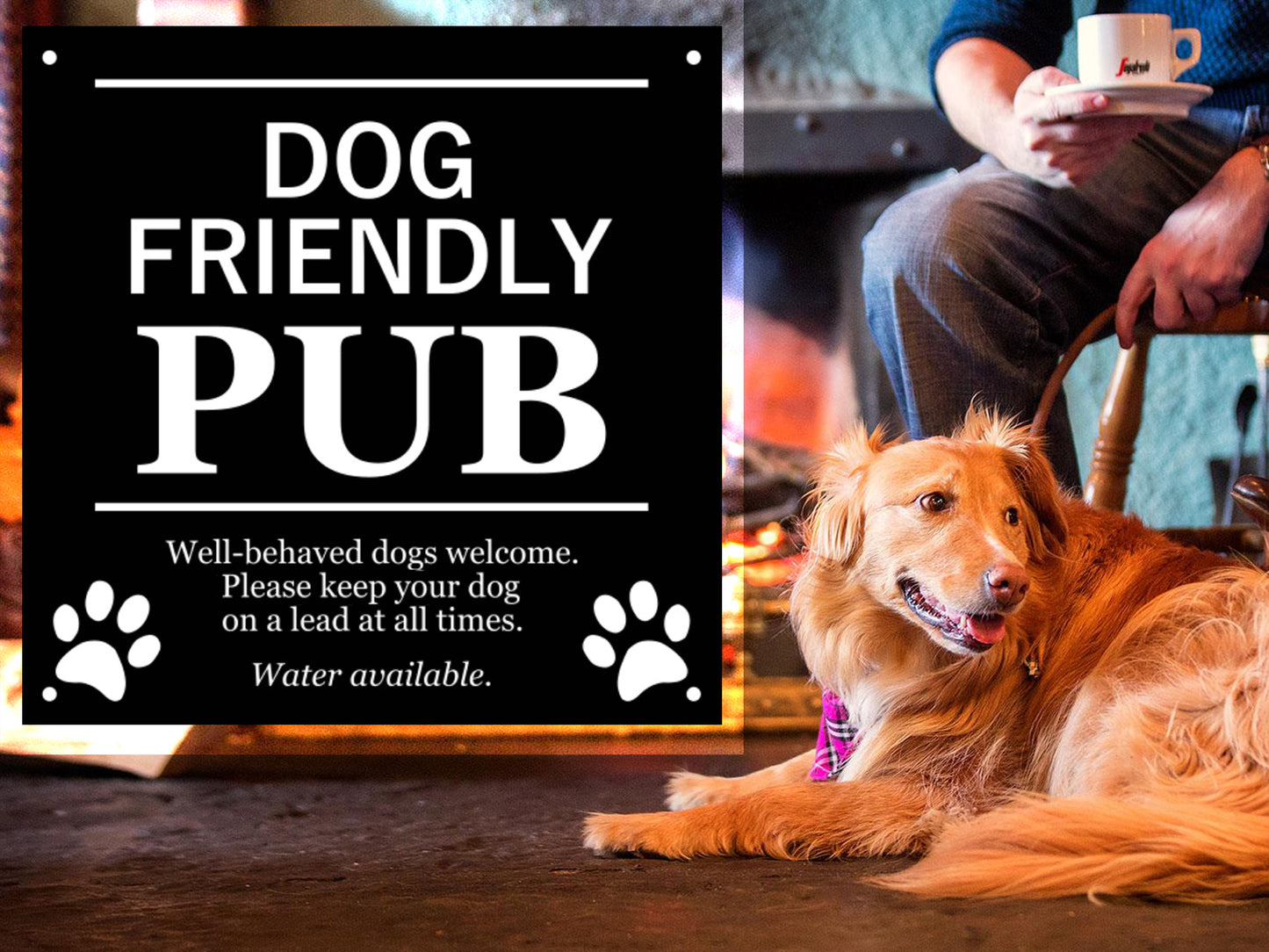 Dog Friendly Pub Sign – by origindesigned – Signs