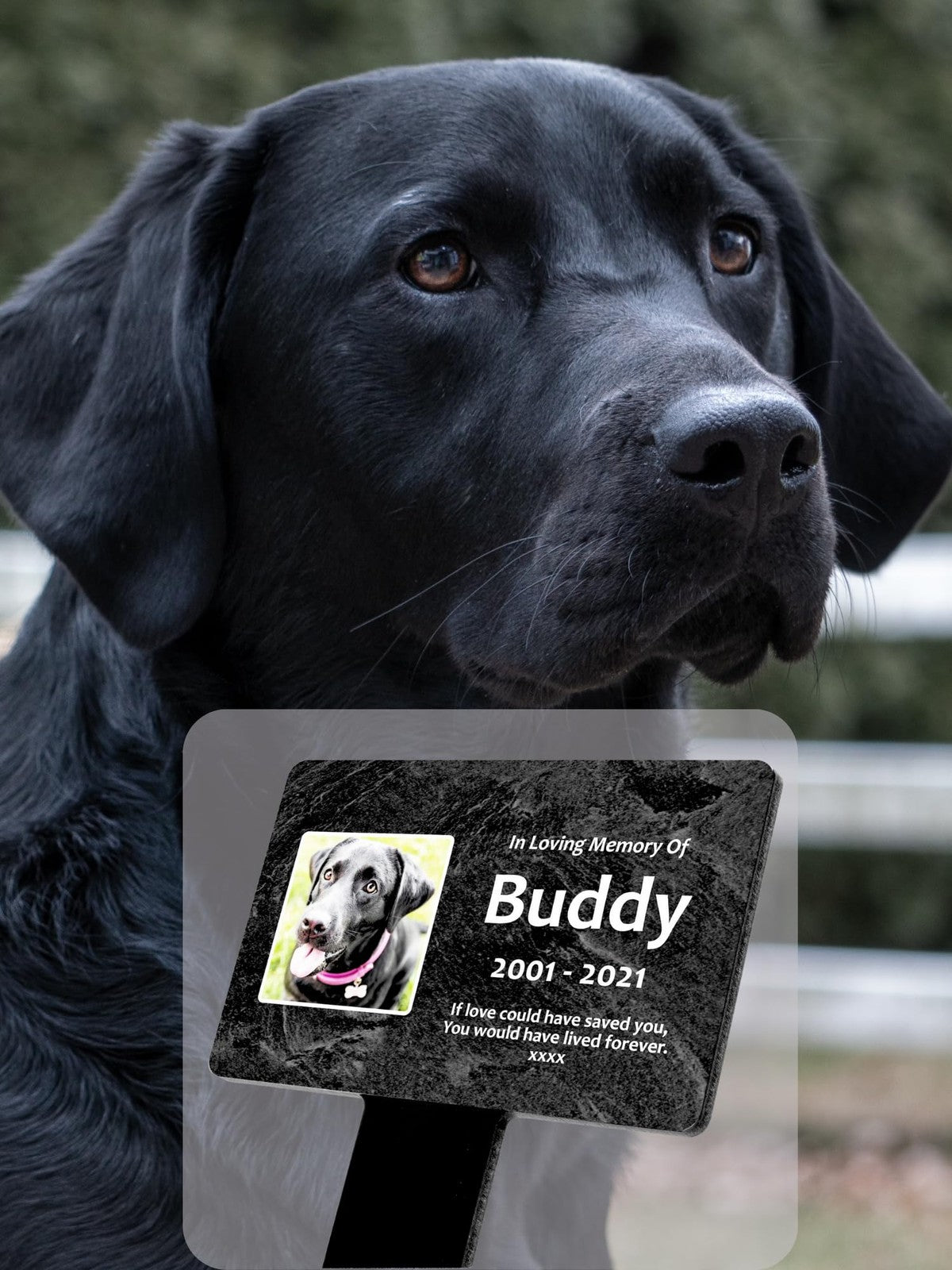 Personalised Slate-Effect Pet Memorial Stake — Photo & Text (140 × 230 mm, 6 mm, Black Acrylic Stake) – by North By North East – Plaques & Nameplates