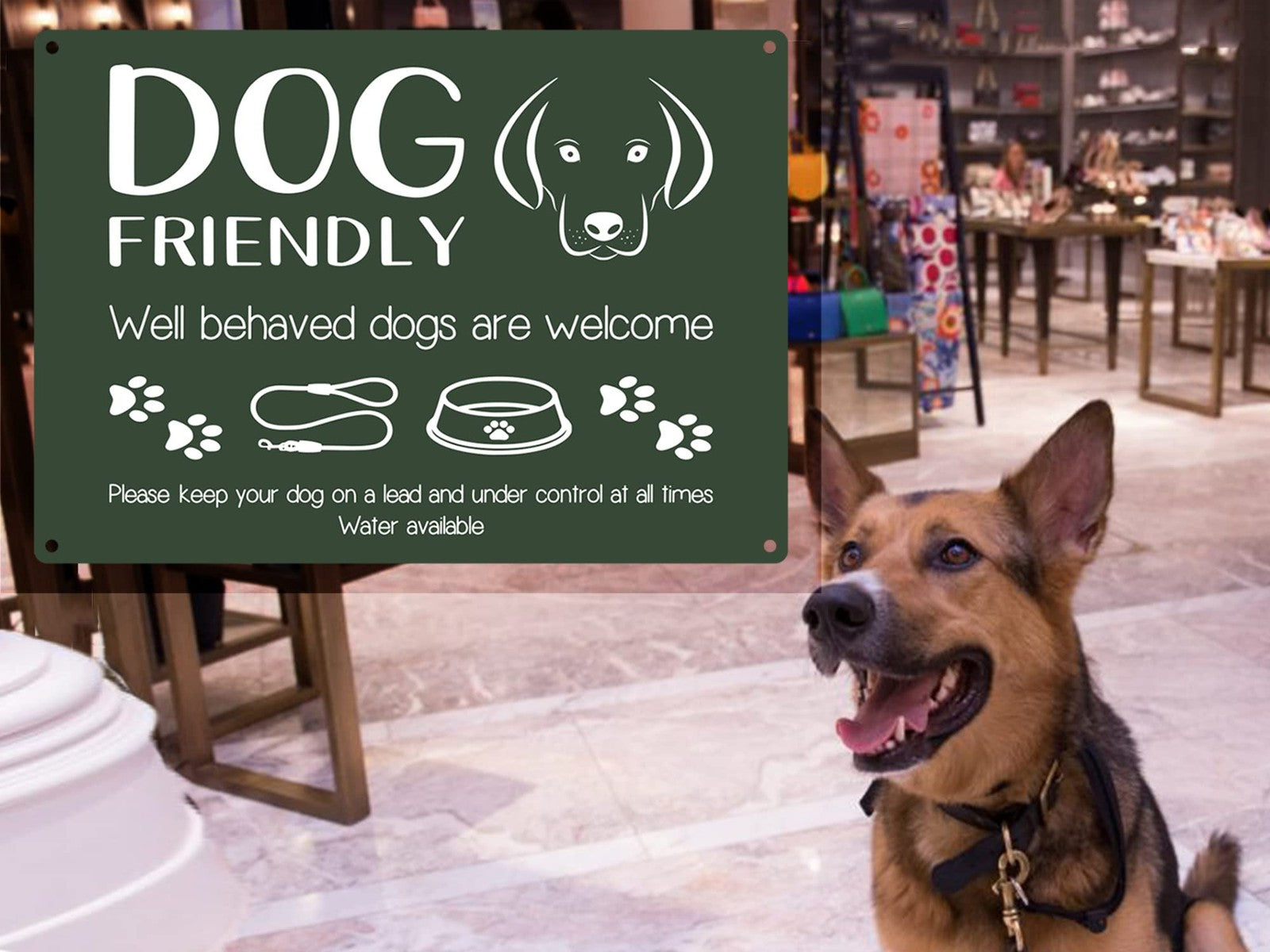 🐾 A4 Green “Dog Friendly” Sign – Outdoor Aluminium Notice for Pubs & Cafés – by North By North East – Signs