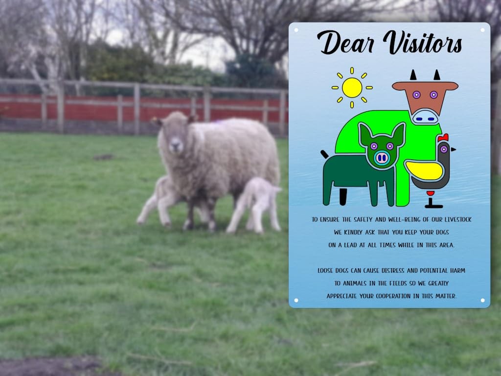 A4 Keep Dogs On Lead Sign – Aluminium Composite – Farm & Livestock Safety Notice – by North By North East – Safety & Warning Signs
