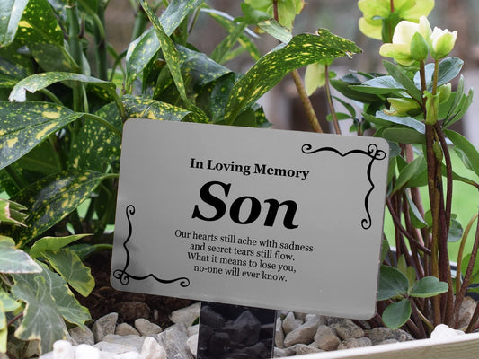 In Loving Memory Son Memorial Stake – Silver Plaque & Acrylic Stake, 230 × 140 m – by North By North East – Plaques & Nameplates