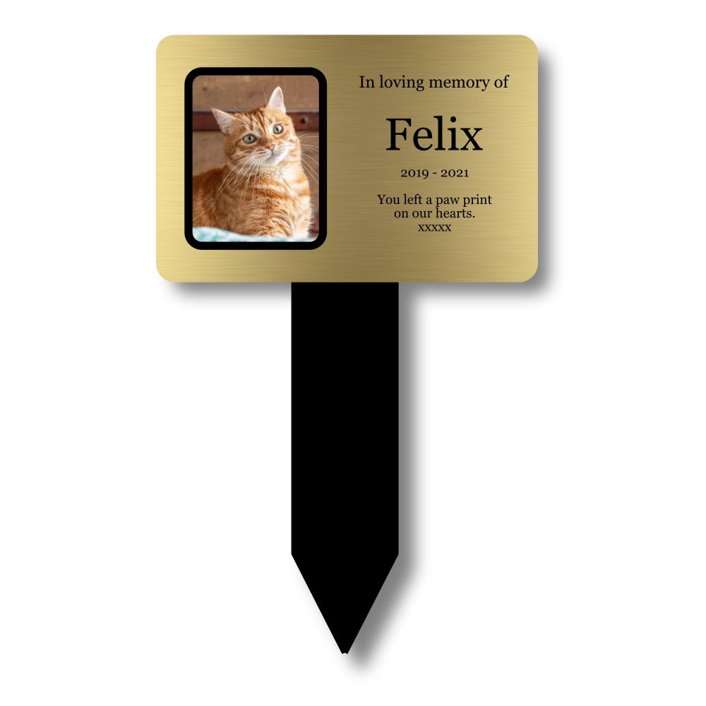 Personalised Pet Photo Memorial Stake — Gold Acrylic Plaque, UK Dispatch (230 × 140 mm, 6 mm, Photo Upload) – by North By North East – Plaques & Nameplates