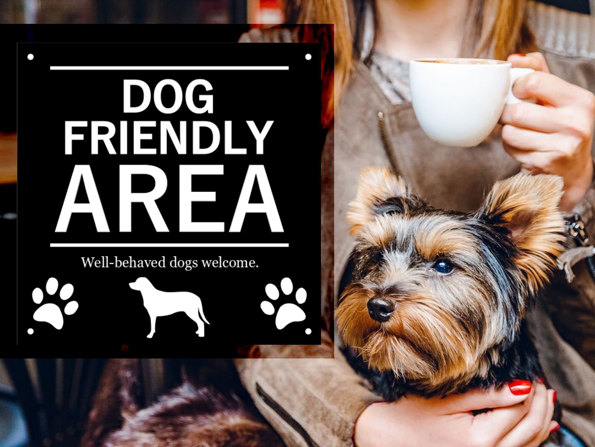 Dog Friendly Area Sign – by origindesigned – Signs